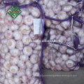 normal white garlic factory price for the international market